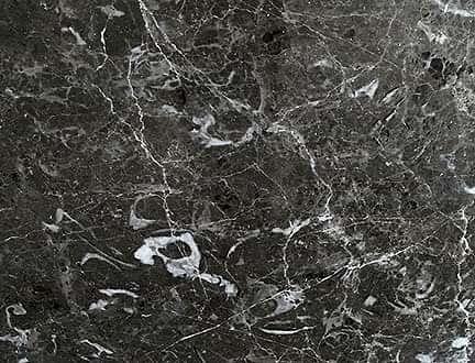 Fossil Gri
