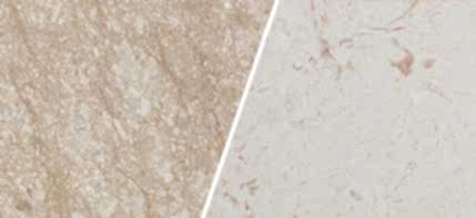Limestone