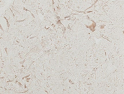 Emelas Pearl Limestone