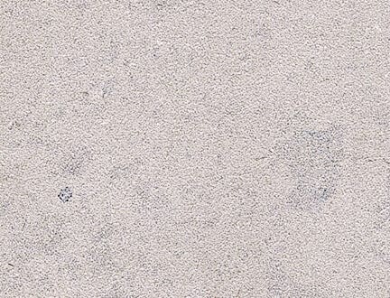 Jura Gri Limestone