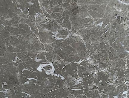 Fossil Gri