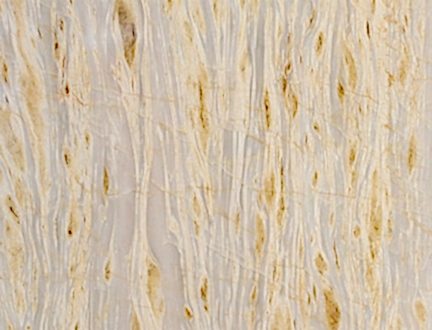 Golden Gri Vein Cut