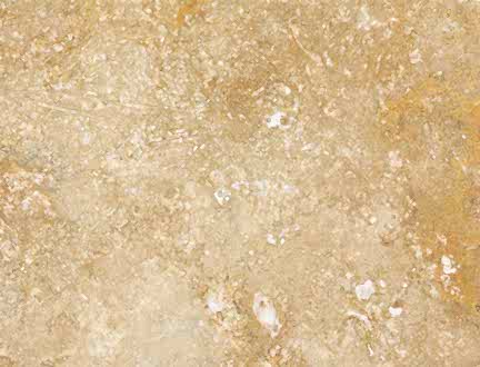 Golden Walnut Traverten